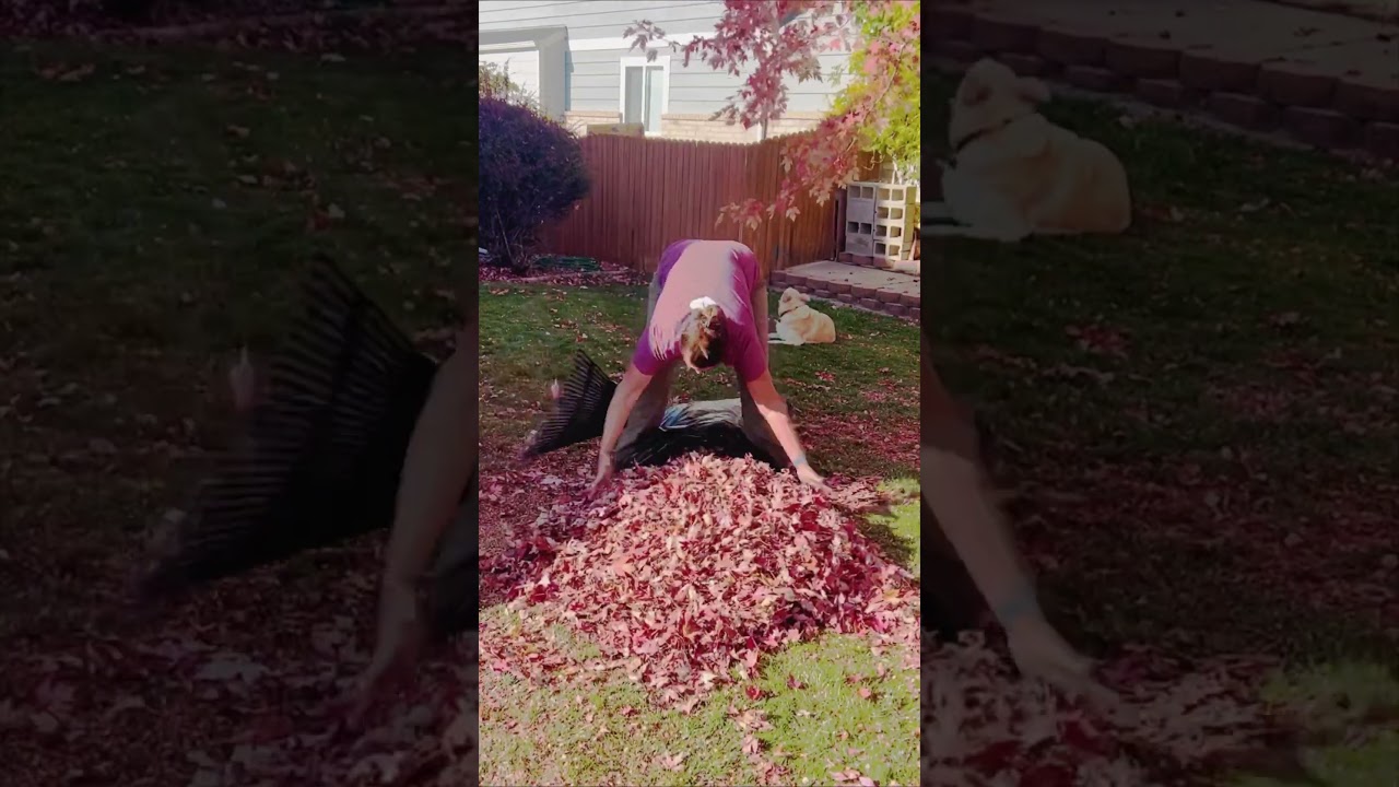 🚨Leaf Raking Hack🚨 #diy #rakingleaves