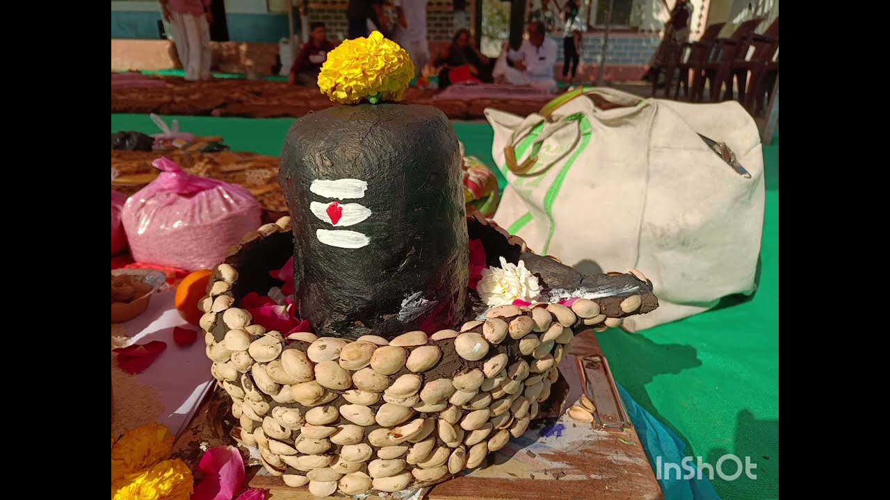 મહાશિવરાત્રી હવન 2026 આશ્રમશાળા કાળાસર 