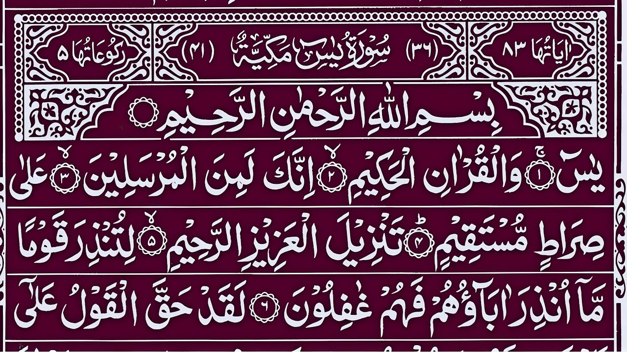 Surah Yaseen Surah Ar Rahman | Best Quran Recitation | Surah Yasin Tilawat | Ep- 040