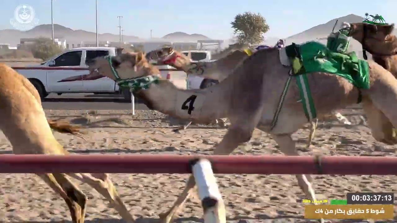 مهرجان ميدان اليتمه لسباق الهجن الاول  الشوط 5 حقايق بكار  من 4ك الدكتوره لـ عبدالعزيز ظويعن الحويطي