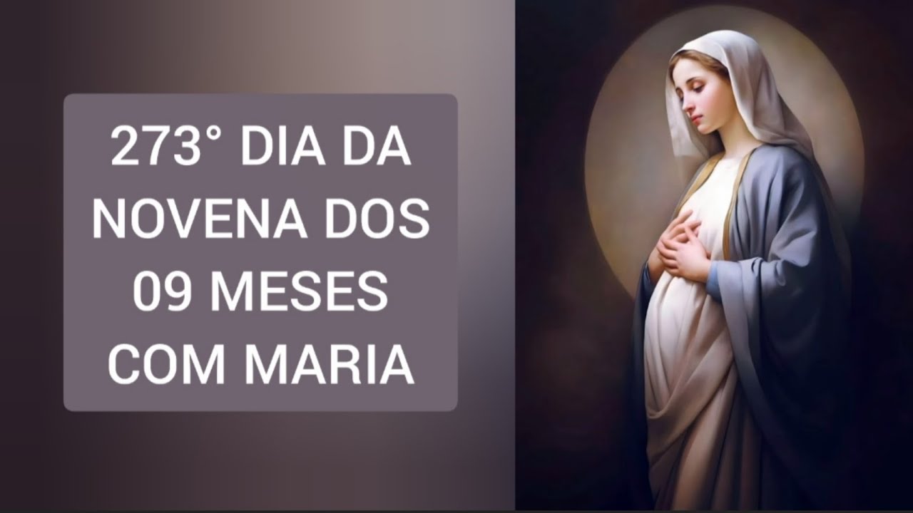 273° dia da novena dos 9 MESES COM MARIA 🙏🏼🌹