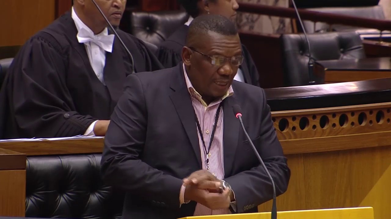 Plenary National Assembly  20 March 2019