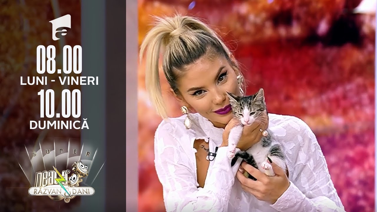 Cel mai răspândit mit în ceea ce privește infectarea cu toxoplasmoză | Invitați Neatza