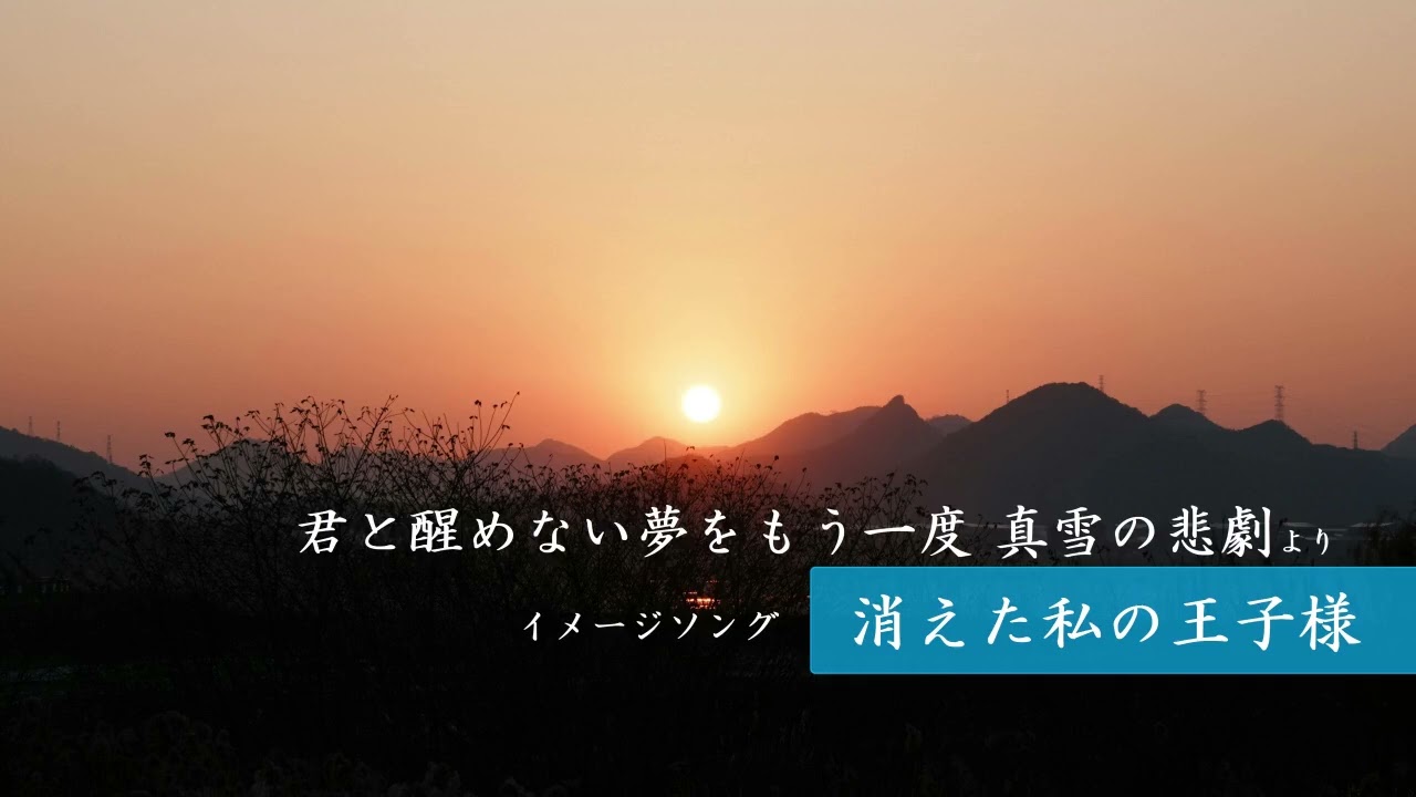 消えた私の王子様