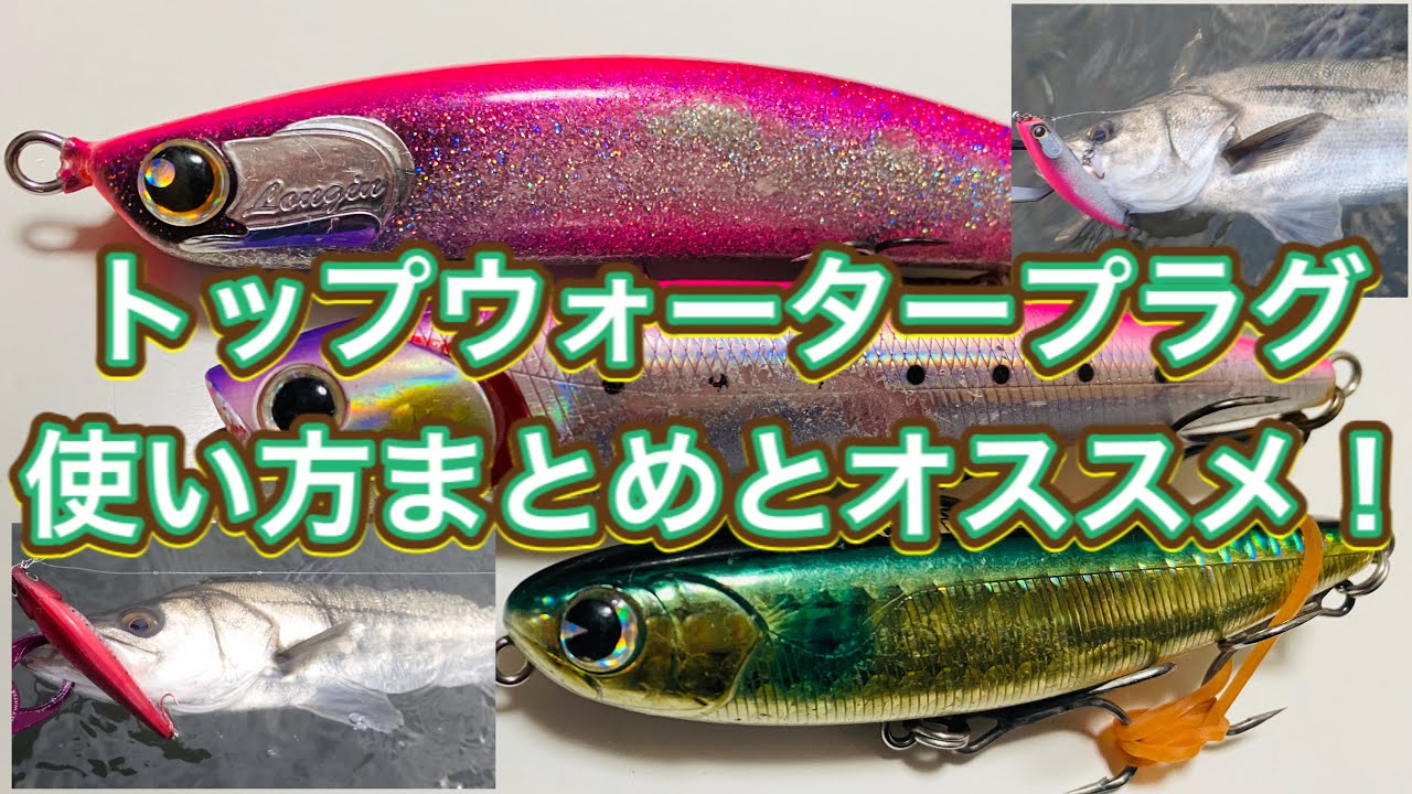 【シーバス初心者向け講座】トップウォーターの使い方とオススメルアー！