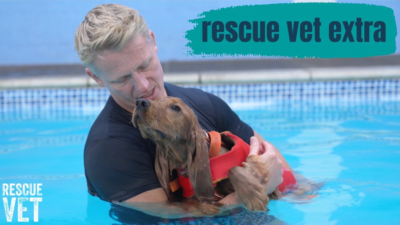 Первый урок плавания Манго! | Rescue Vet Extra с доктором Скоттом Миллером
