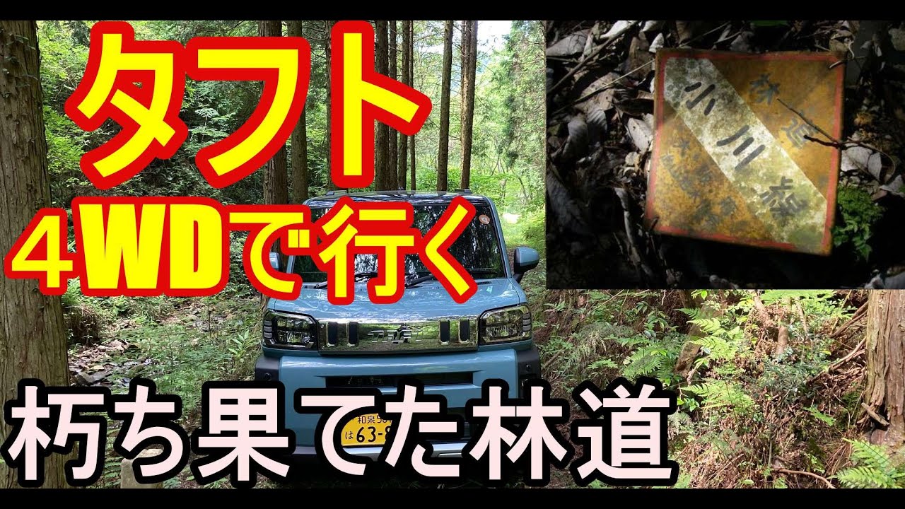 ダイハツタフト４WDで朽ち果てた林道和泉市箕輪線から小川線を走ってみたら、道路標示看板も落ちて路肩も危険でのり面も危うくてスリル満点でしたが、急な坂道や悪路でもタフト４WDは力強く走ってくれました。