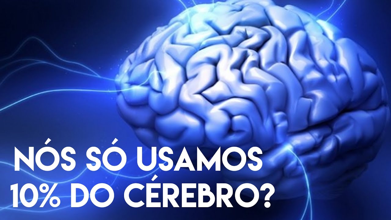 Curiosidades sobre a Inteligência Humana - O PORQUÊ DAS COISAS