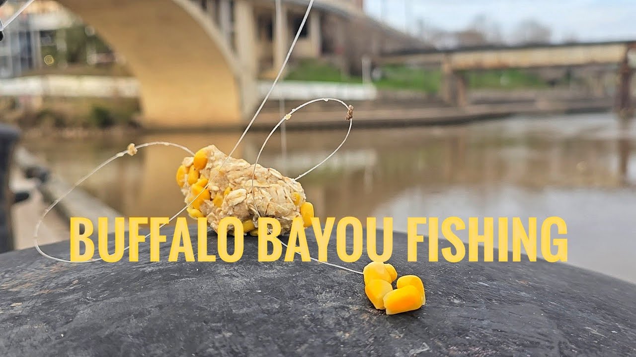 Buffalo Bayou fishing (For Carp, but caught the opposite!)