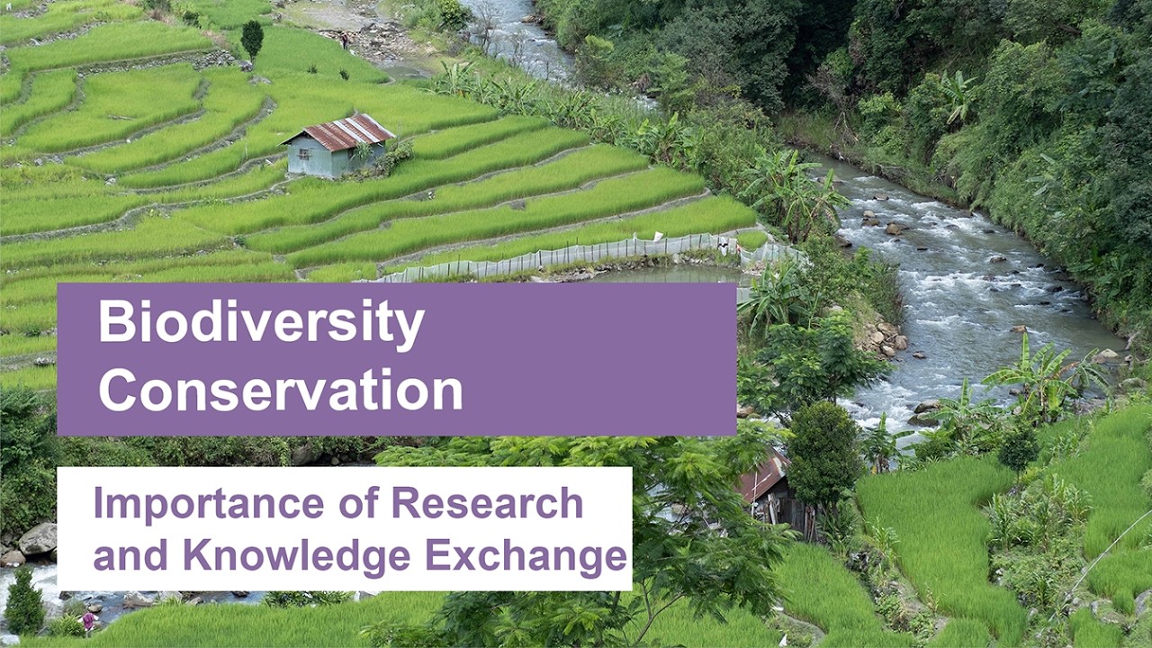 How Research Protects Aquatic Resources in Northeast India