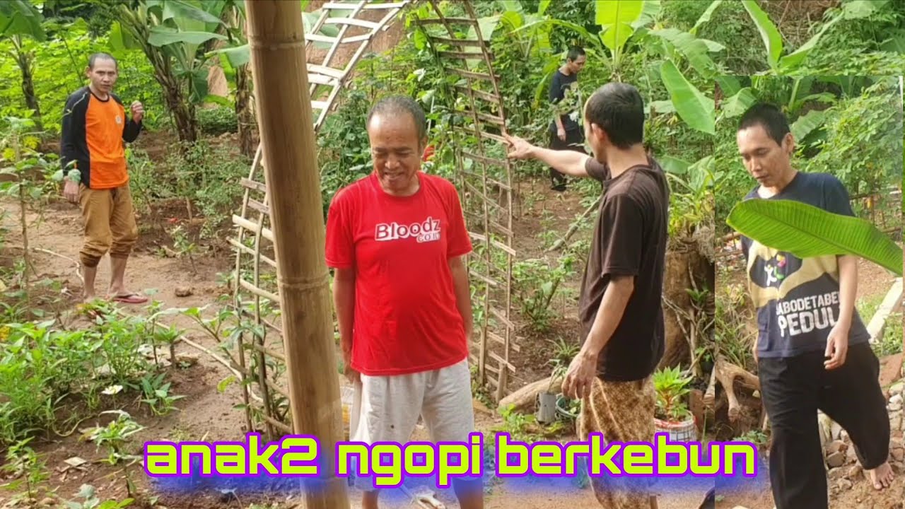 Anak2 berkebun dan ngopi bareng #egoadriano #dedymulyadi #sinauhurip #pratiwinoviyanthi #partitv 