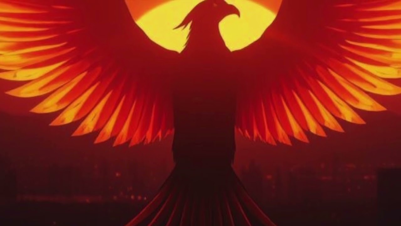 COMME UN PHÉNIX 