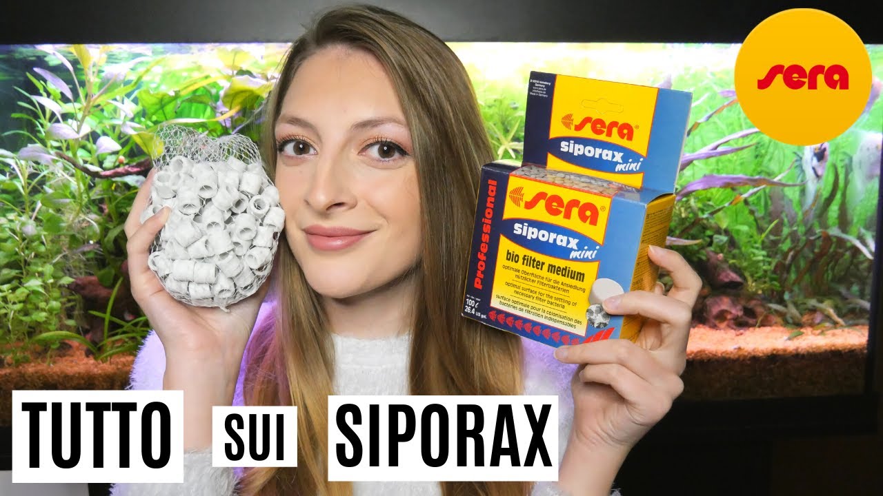 SIPORAX: i migliori cannolicchi in assoluto?