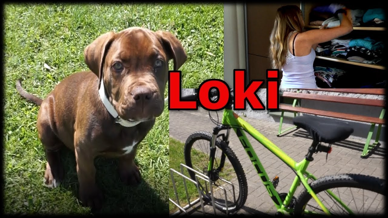Unser kleiner Hund I Kleiderschrank ausmisten I Das schöne Wetter genießen I MelliPirelli Vlog