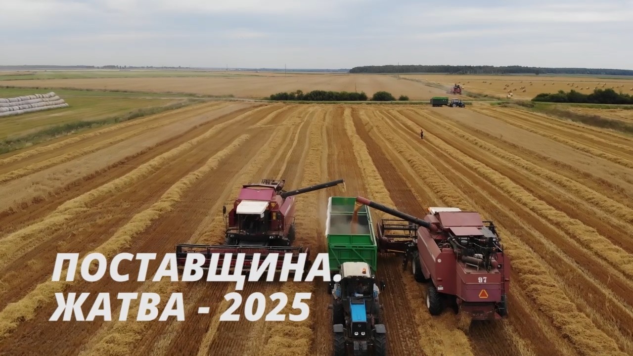 Поставщина. Жатва - 2025