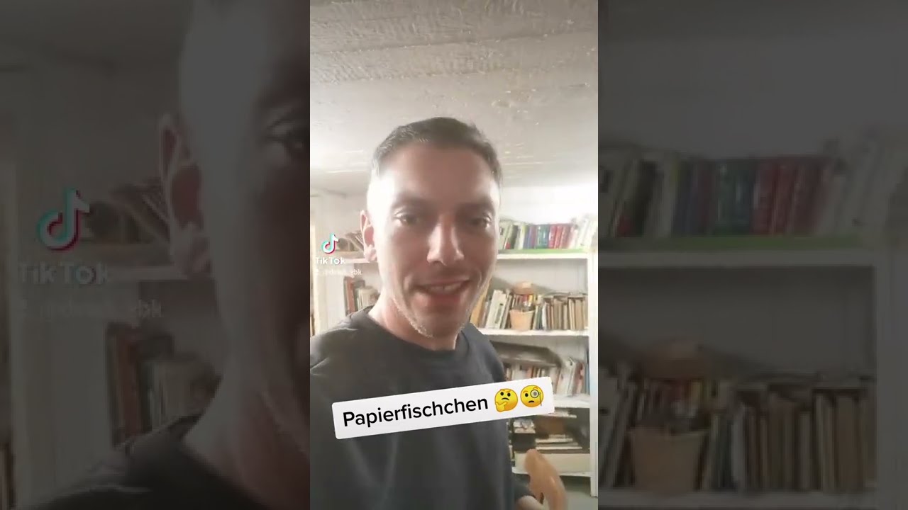 Papierfischchen | Wieso hab ich sie und woran erkenne ich den Befall?