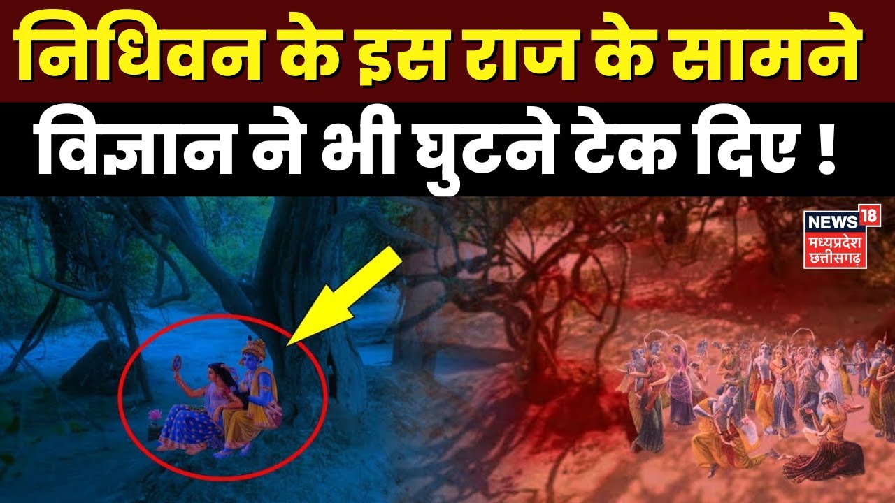 Vrindavan News | बहुचर्चित निधिवन का रहस्य - क्या वहां सच में श्रीकृष्ण करते हैं रासलीला? News18 MP