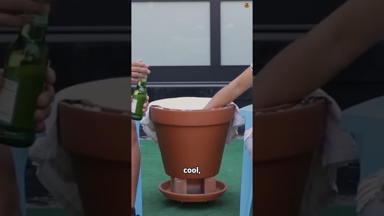 How Ancient People Kept Food Cold in Summer! 🤯