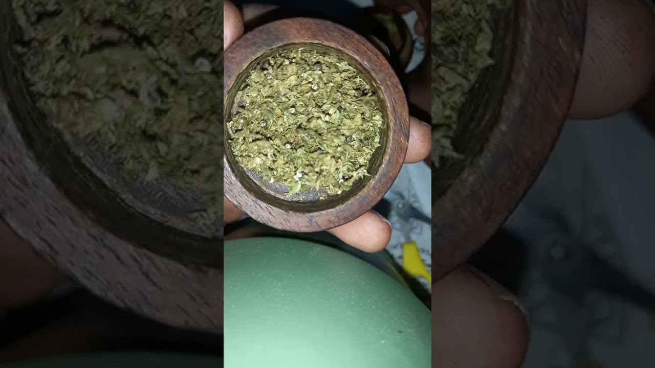 how to roll up a cannabis joint🇯🇲