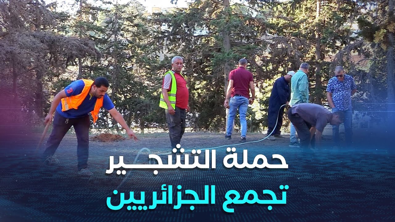 حملة 
