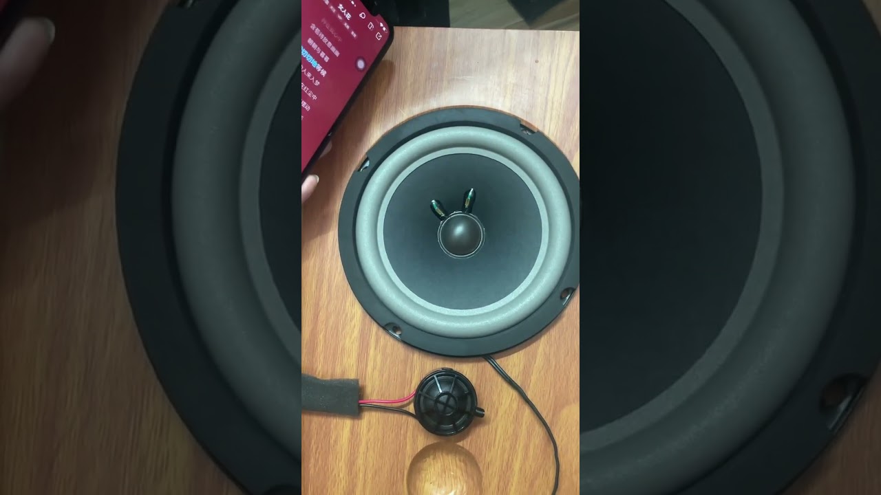 Car audio, Bose woofer + Berlin tweeter