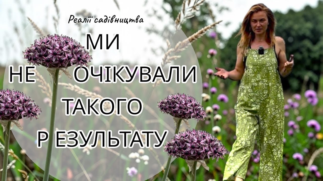 Сад з нуля🌱ГАЗОН: плюси і мінуси. #реаліїсадівництва #garden #садзнуля #водойма