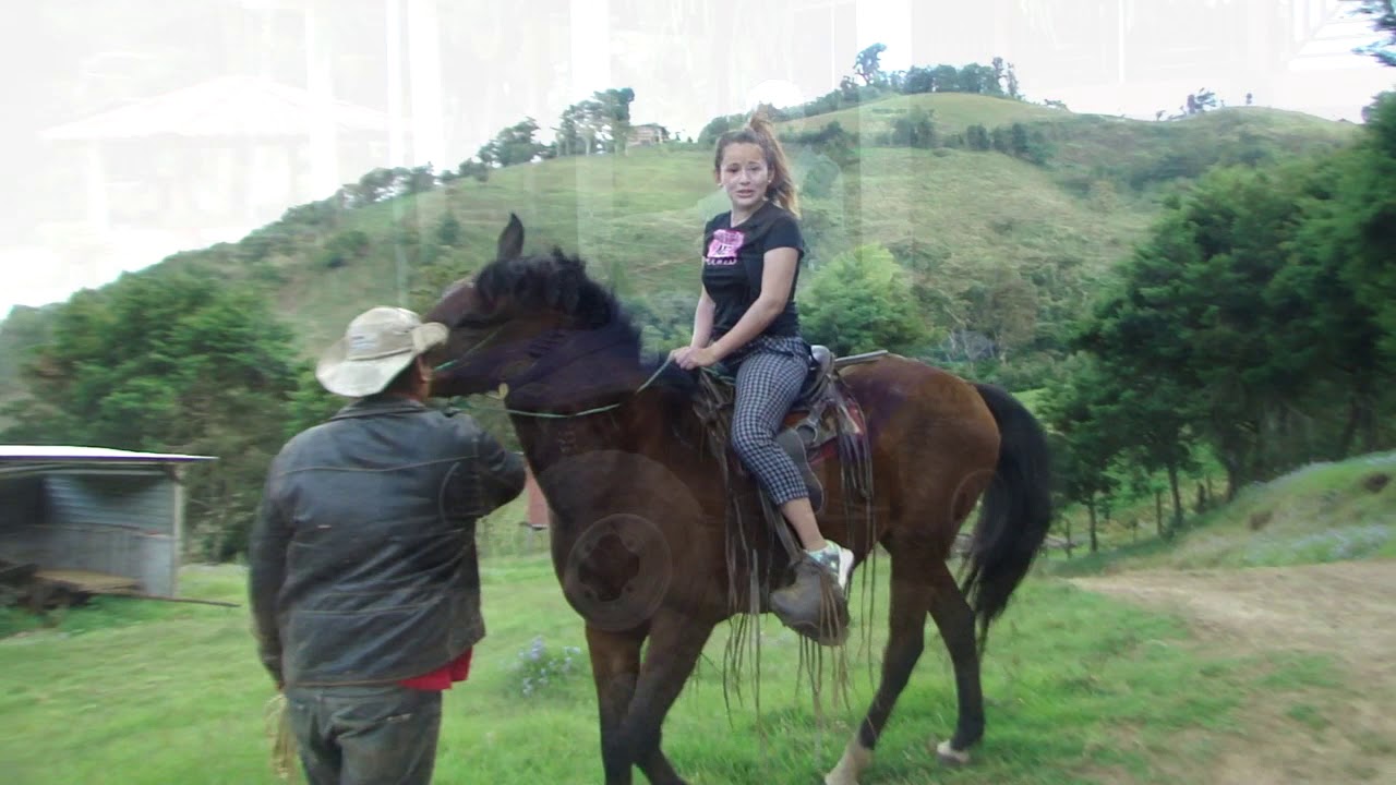 Finca San Carlos , Jinotega Nicaragua