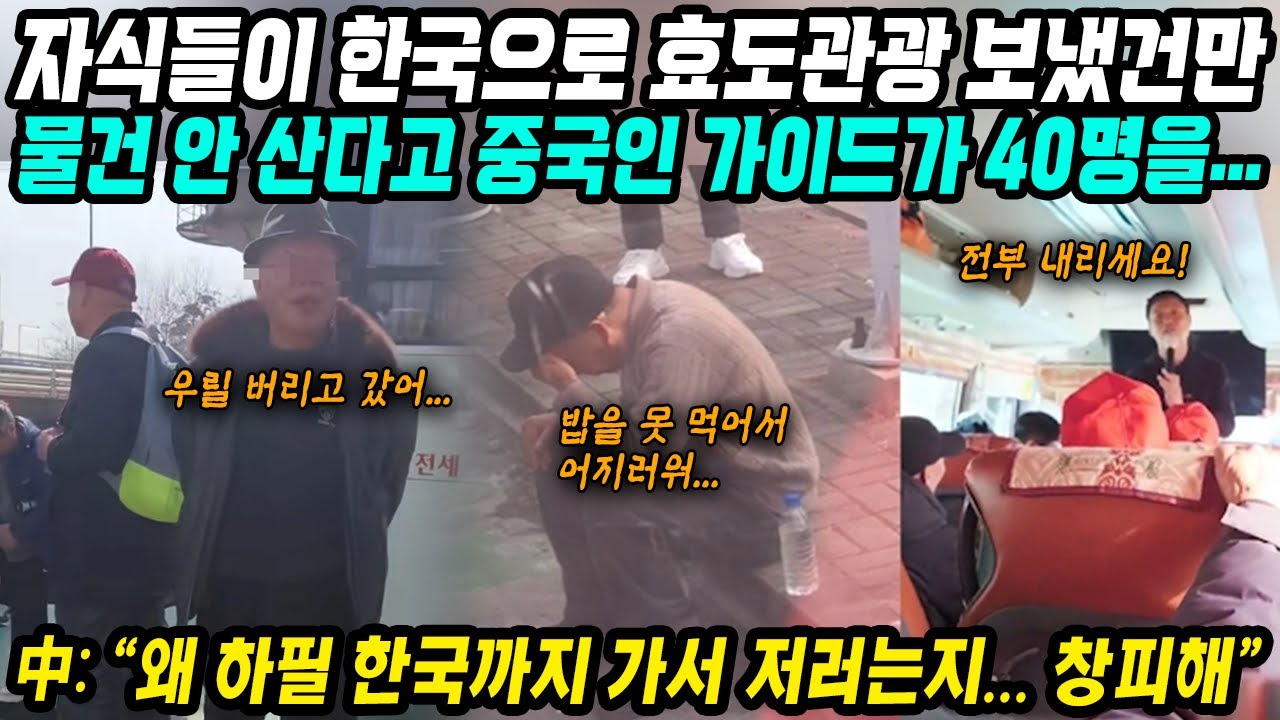 중국반응│한국으로 효도관광 온 여행객 40명이 당한 일│자식들이 한국으로 효도관광 보냈더니 가이드는 길거리에 버려│왜 한국까지 가서 저러는거야 창피해│중국어로[路]