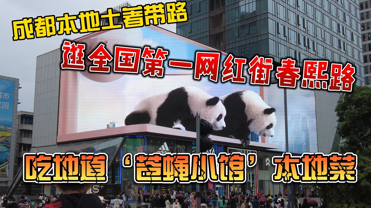 成都本地人带路，逛全国第一网红街春熙路，吃地道“苍蝇小馆”本地菜