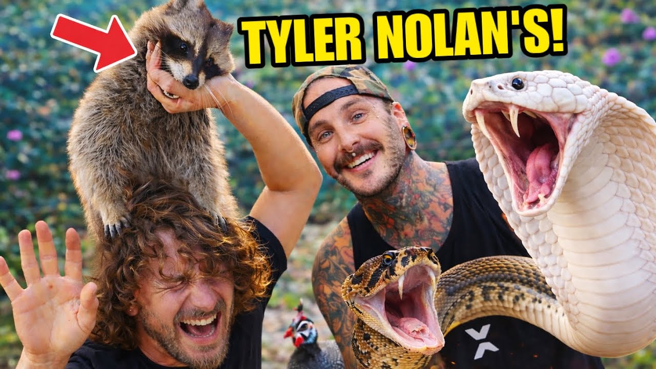 Crazy RACCOON at Ryder’s Ranch!  @TylerNolan 