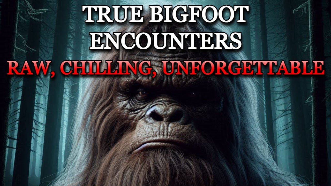 True Bigfoot Encounters You Won’t Hear Anywhere Else