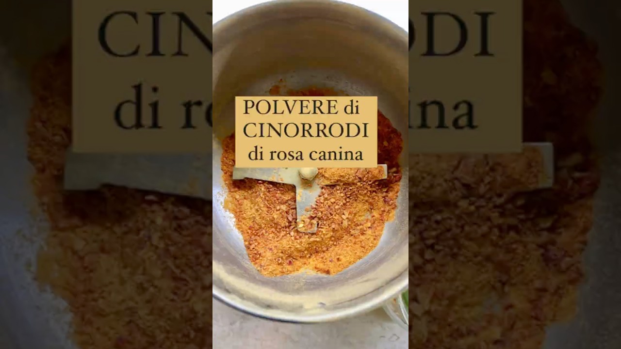Rosa canina, polvere con i cinorrodi