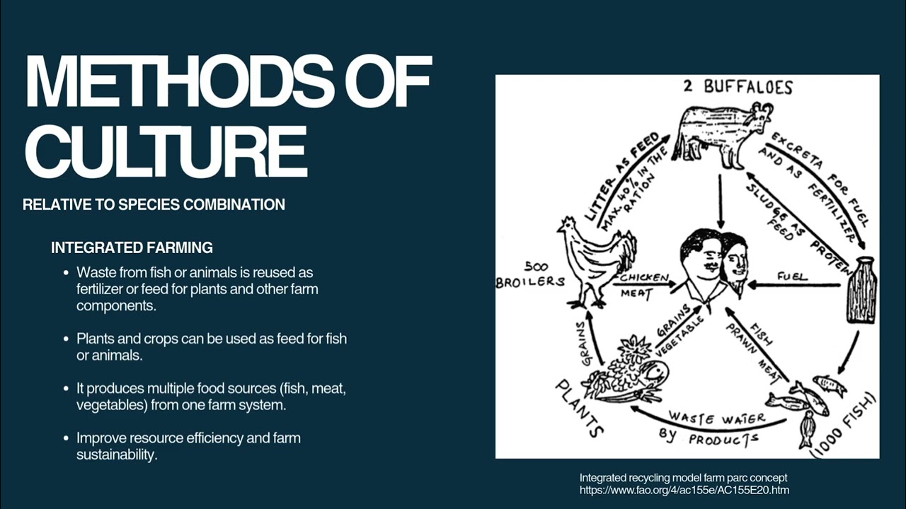 AQUA | Culture Systems & Methods for Finfish  | (G1B, '26)