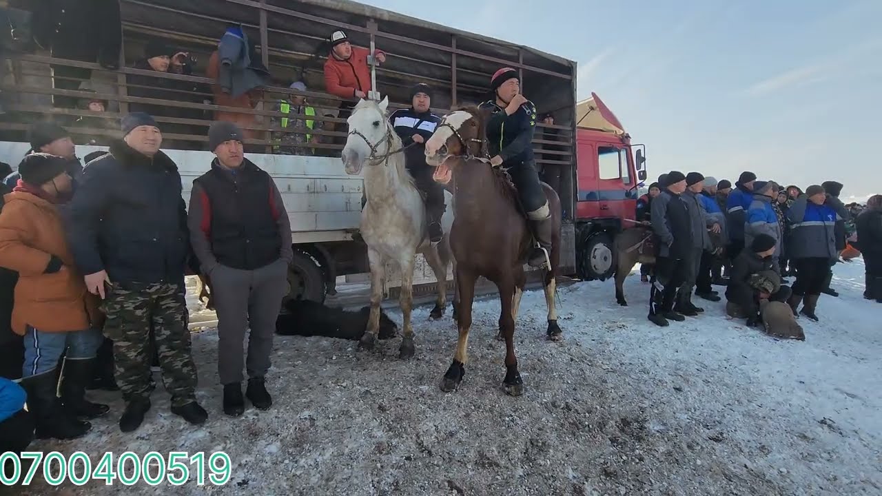 Ноокен району Ынтымак улагы Толук видеосу