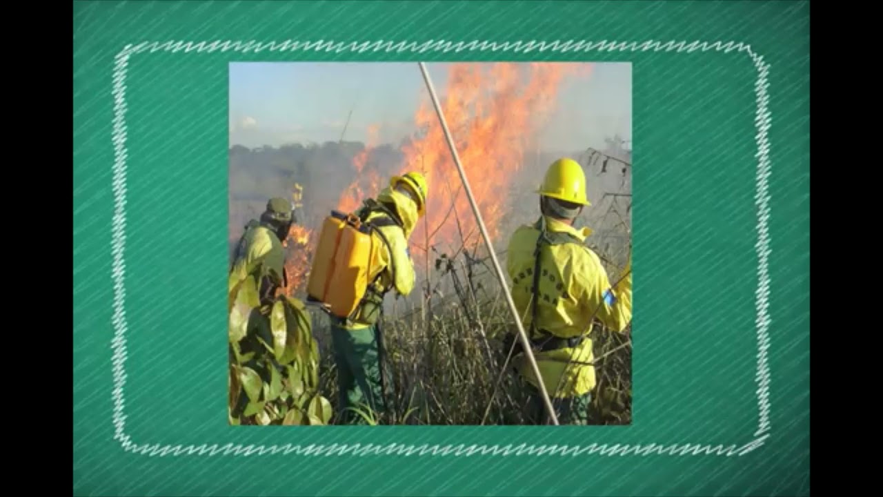 Treinamento de Atualização de Combate a Incêndios Florestais Safemed Final