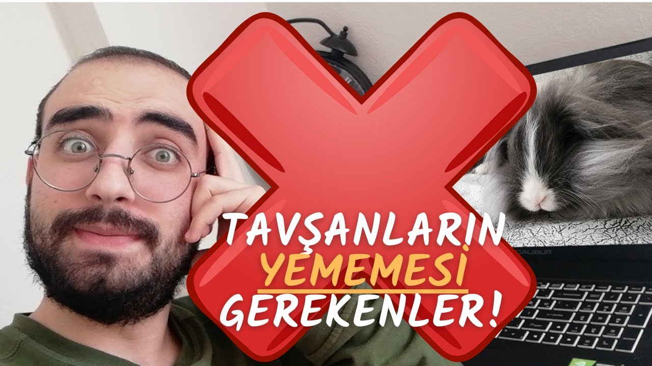 Tavşan Almayı İsteyenler İçin: Tavşanlar Neyi Az Yemeli, Neyi Hiç Yememeli