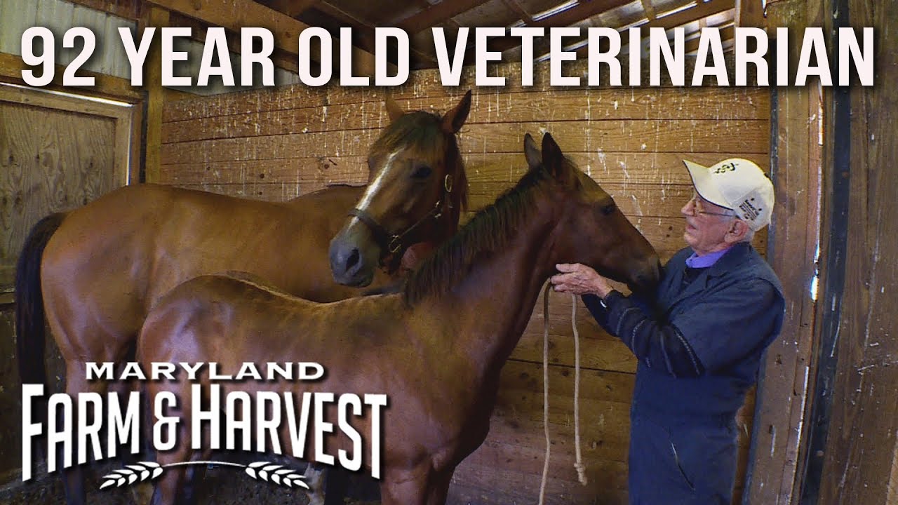 The 92-Year-Old Horse Vet who Loves His Work | Maryland Farm & Harvest