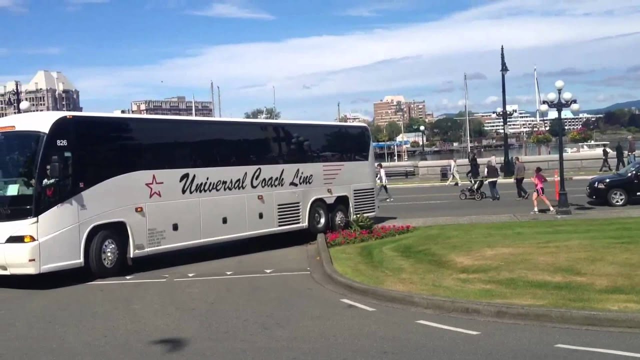 Malos conductores, donde te han dado el carnet