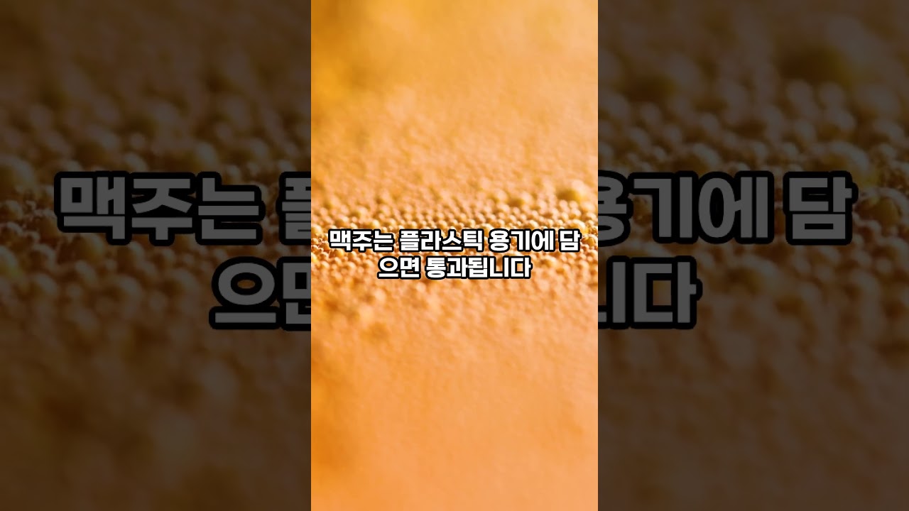 ⚾ 직관 초보를 위한 야구장 이용 꿀팁 총정리! 자리 고르는 법부터 응원 준비까지 완벽 가이드