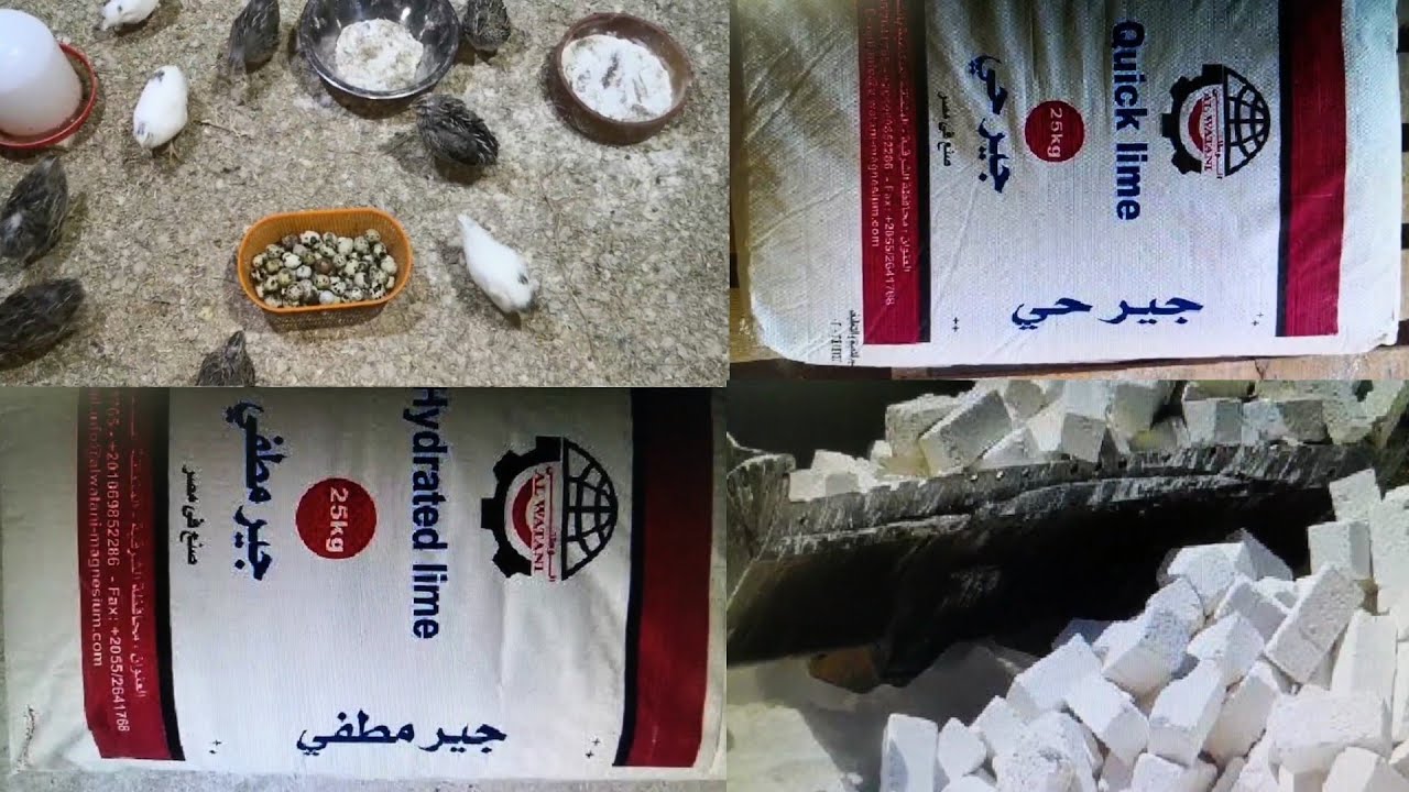 الفرق بين بودرة البلاط والجير المطفي والجير الحي للسمان البياض