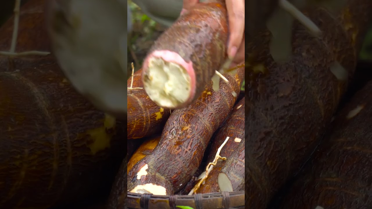 How to make delicious cake from cassava #shorts #cooking #buildfarm #harvesting