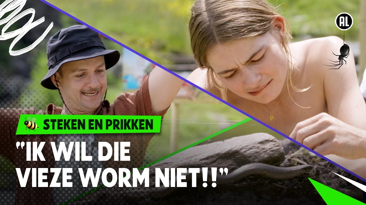 BIJT DE HAZELWORM ONZE PRESENTATOR?!! 😱  | Steken en Prikken | S4 #4 | NPO Zapp