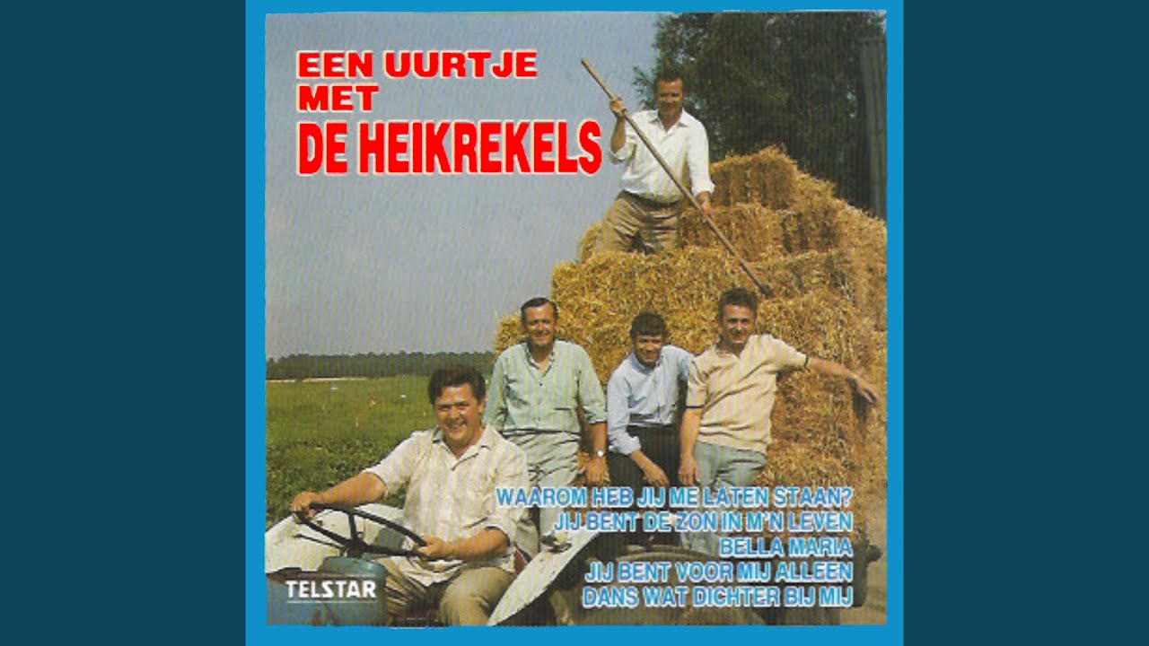Elk Moment Dicht Bij Jou