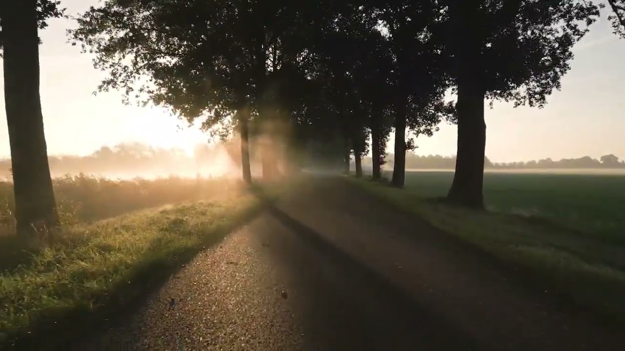 Nature | Mood | Ritual Music | Yoga Music | calm music | Relaxation Music | Meditation Music |