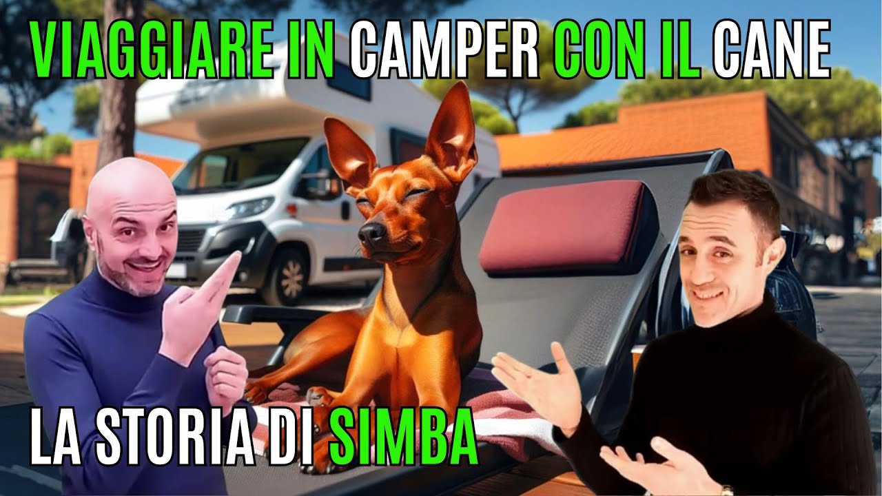 Viaggiare in Camper con il cane 