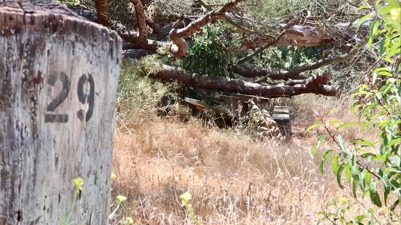TDW 1826 - Mysterious Remains Of Haunted Table 29