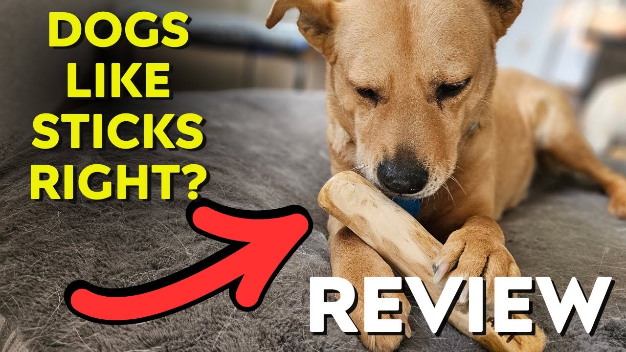 Natural Coffee Wood Dog Chew - Safe Wood Chews for Dogs, Perfect Chew Toys for Puppies 0-6 Months
