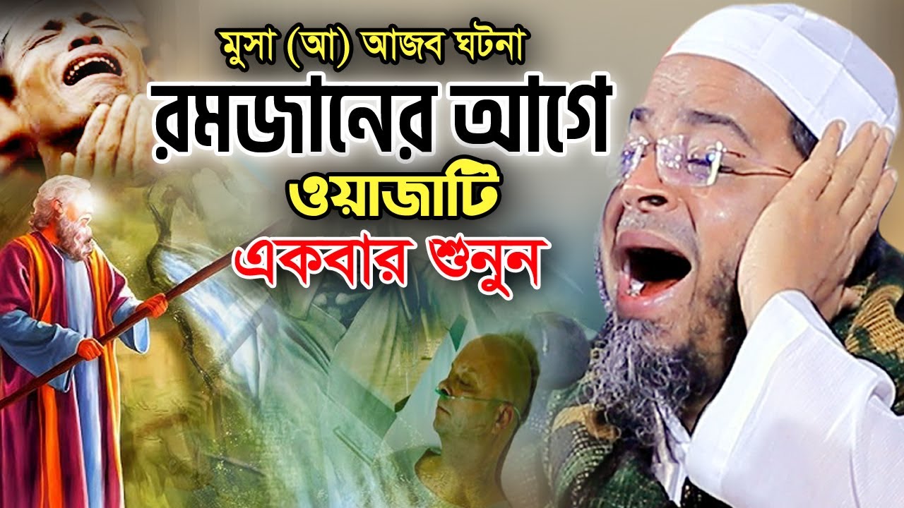 মুফতি নাসির উদ্দিন আনসারী ওয়াজ 2024। Nasir Uddin Ansari Waz 2024 হযরত মুসা (আ) ও কারুনের  আজব ঘটনা