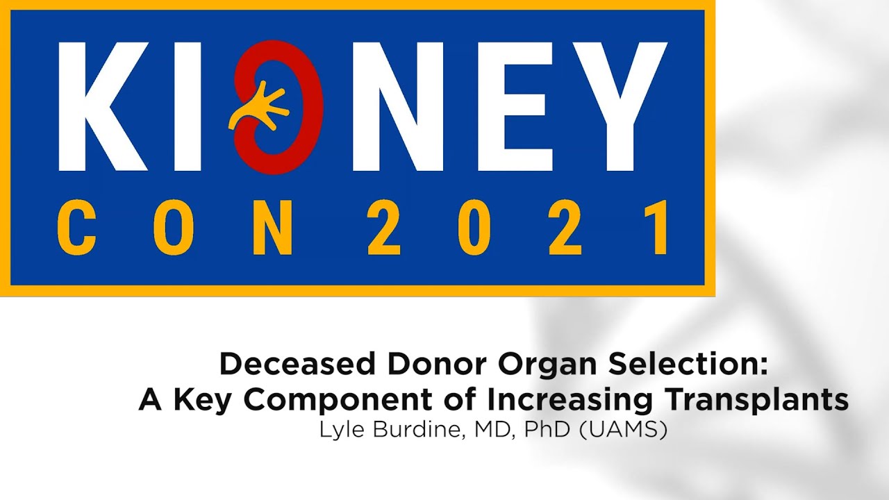 Deceased Donor Organ Selection: A Key Component of Increasing Transplants