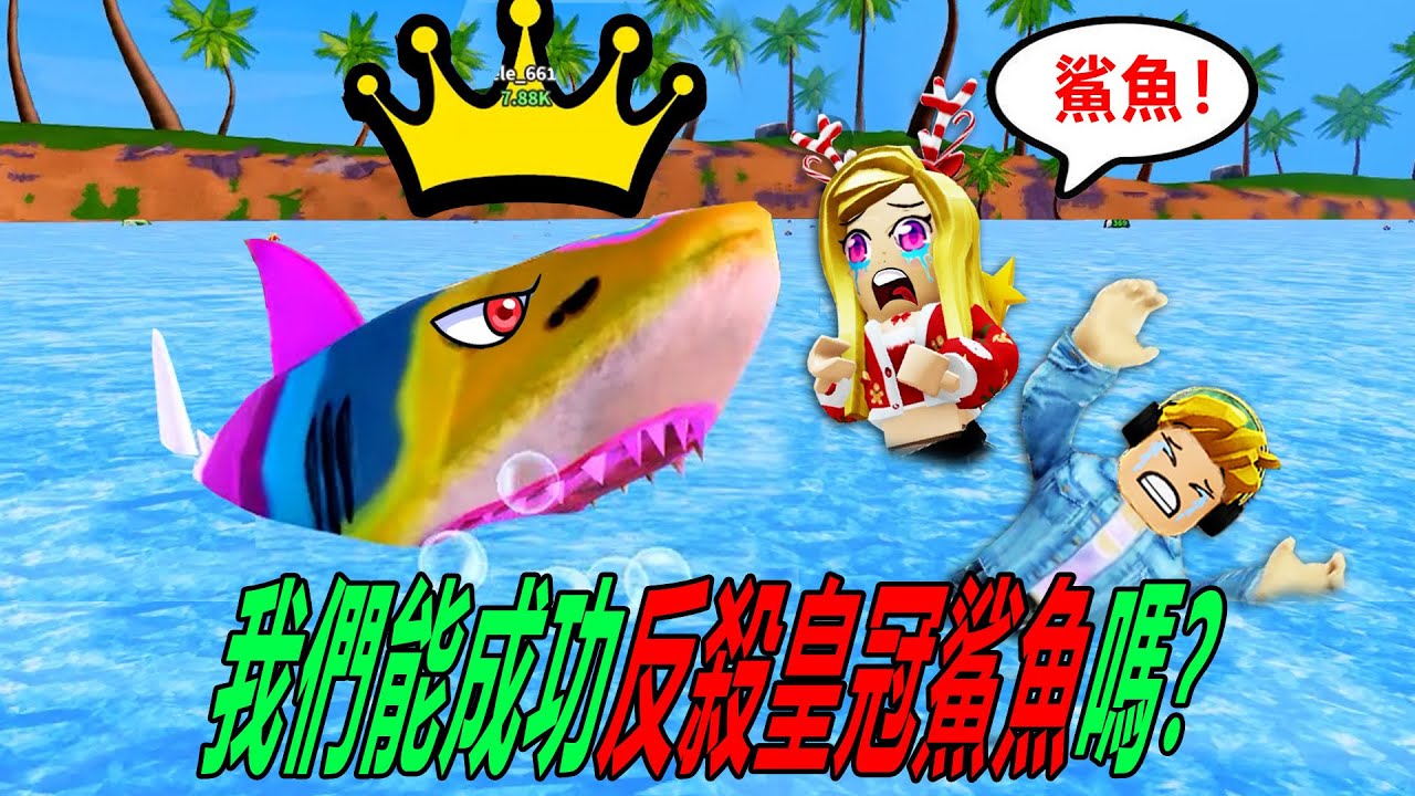 成為鯊魚：我和夥伴合作，成功反殺皇冠鯊魚，我們統治了這片海域！……Be a Shark | ROBLOX